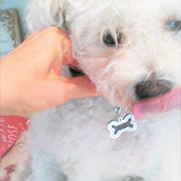Dog Bone Crystal Charm w REPURPOSED Louie Vuitton Mongram for Dog Cat Pet People - Picture 4 of 6